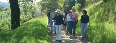 SDC Diverse Habitat